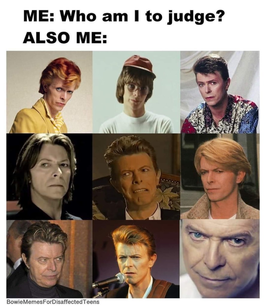 Blurb says “ME: Who am I to judge? ALSO ME:” Image shows a grid of nine different extremely judgmental David Bowie faces